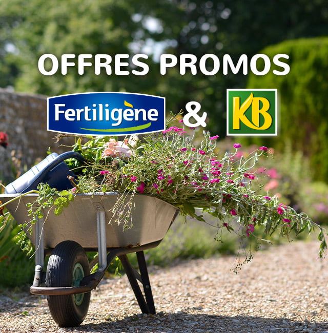 Offres promos Fertiligène & KB